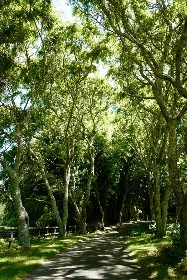 Hamurana Lodge Rotorua Ngoại thất bức ảnh
